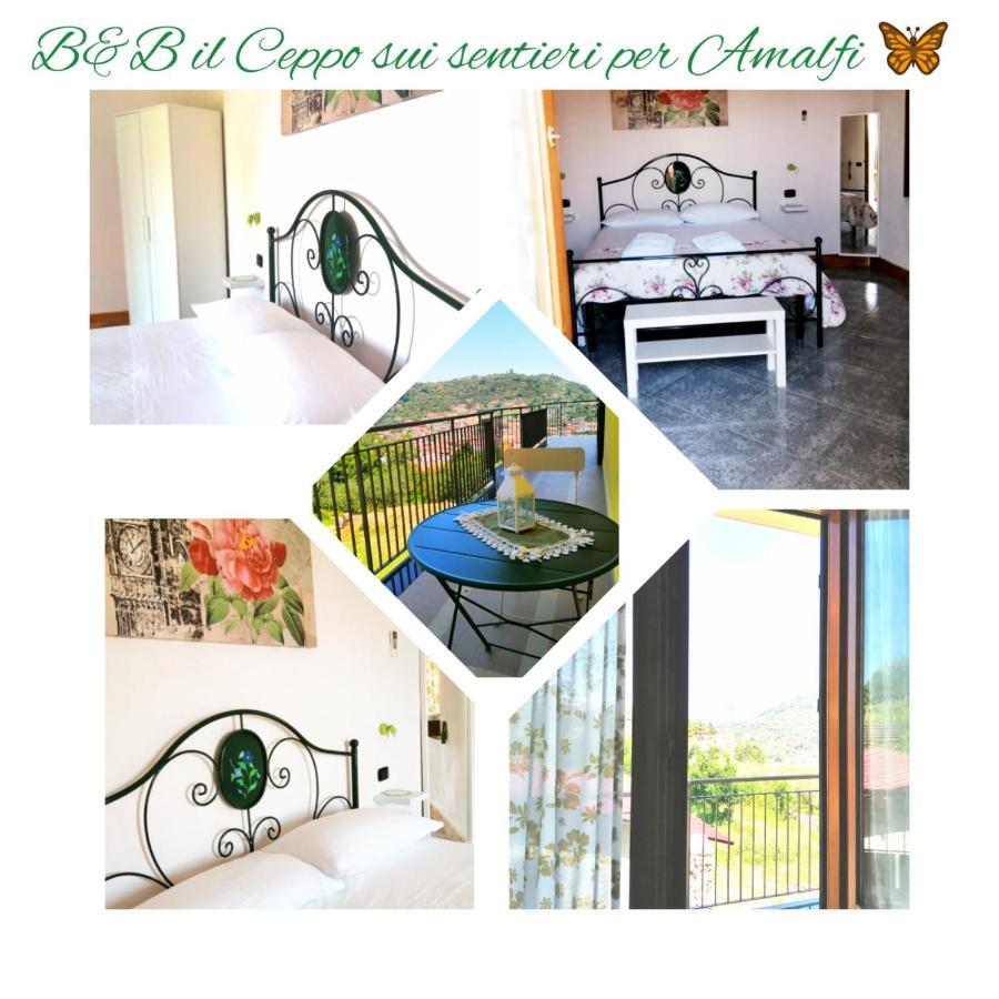 Il Ceppo Sui Sentieri Per Amalfi Bed & Breakfast Pimonte Exterior foto