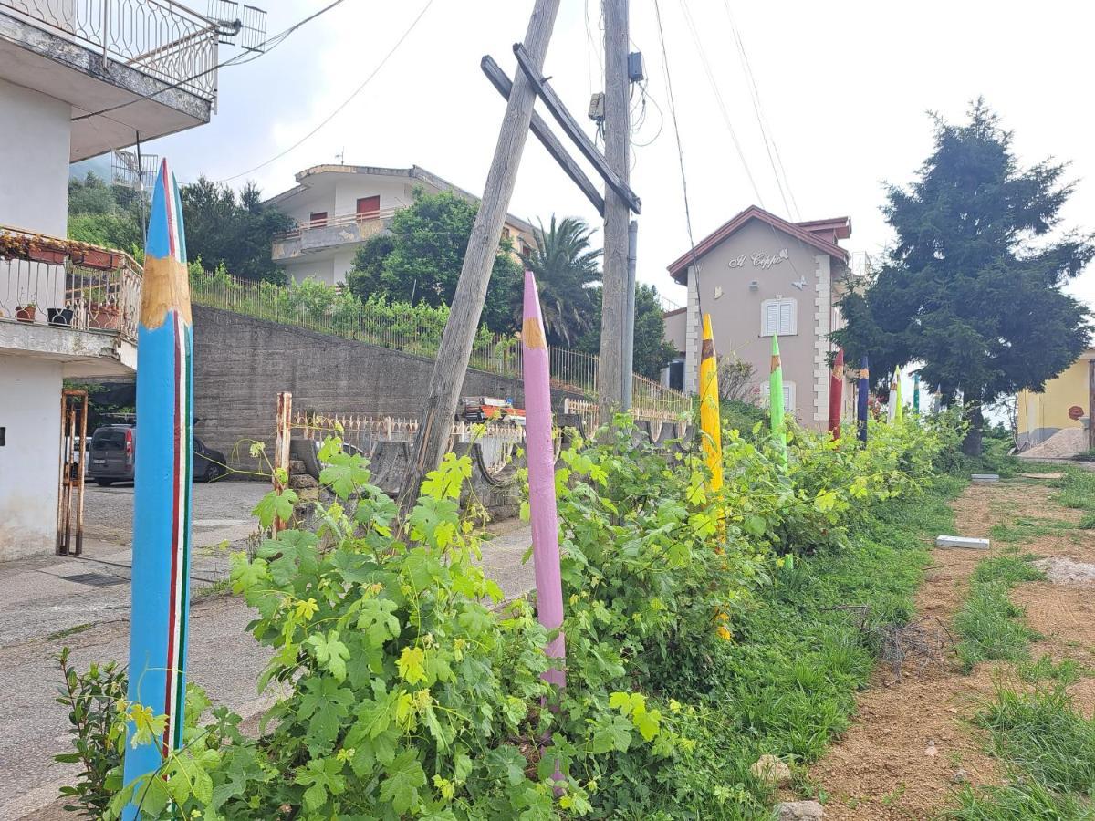 Il Ceppo Sui Sentieri Per Amalfi Bed & Breakfast Pimonte Exterior foto